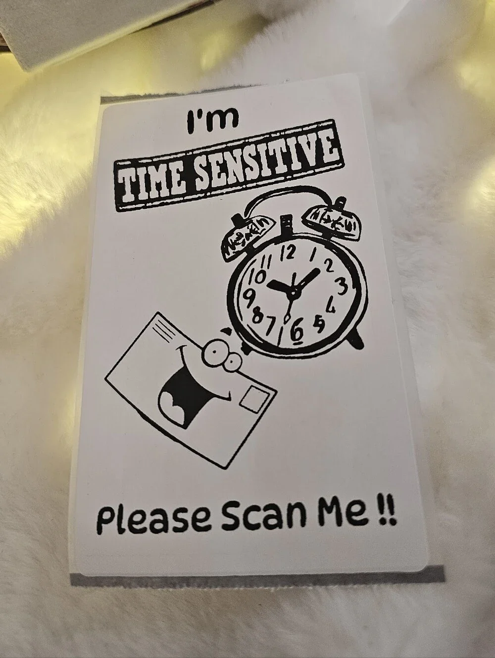 30 3x5 Mailman Please Scan My Orders Stickers